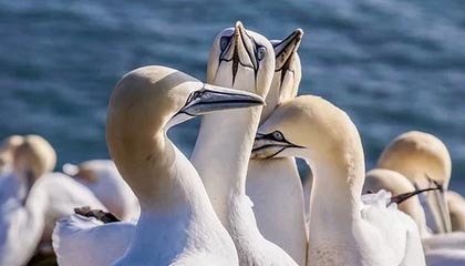 kaiyun开云·官方网站-瑞典女足遭遇惨败，小组垫底被淘汰，瑞典女足遭遇惨败,小组垫底被淘汰了吗