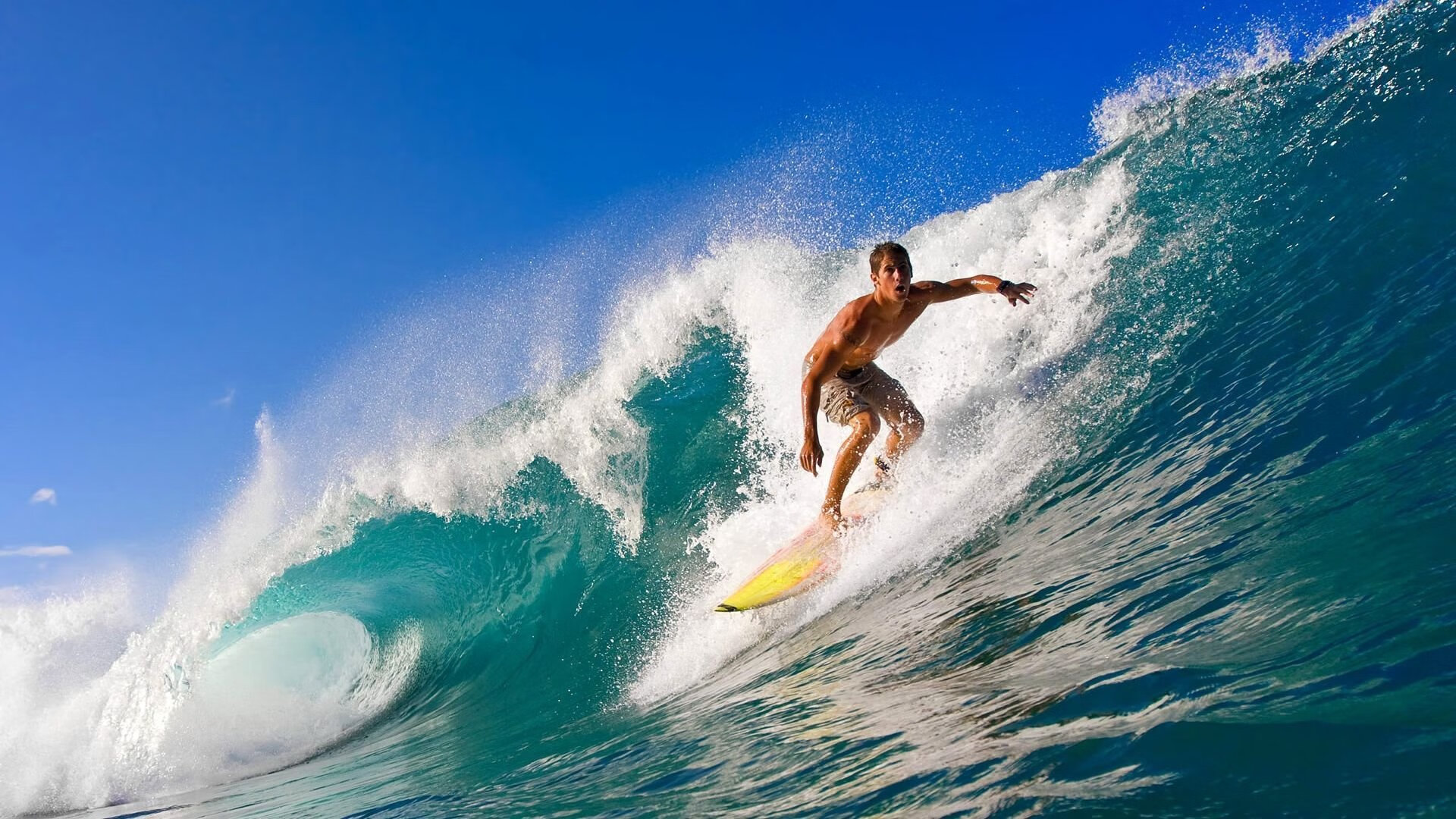 巴西马术协会与大学合作,开展马术运动营养研究,优化饮食方案。